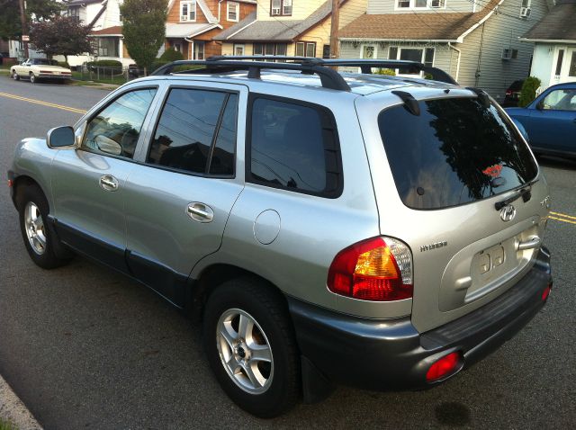 Hyundai Santa Fe 2003 photo 3