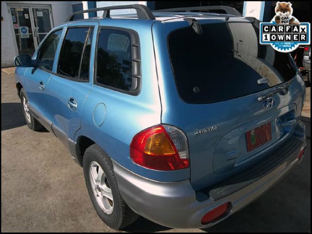 Hyundai Santa Fe 2003 photo 3