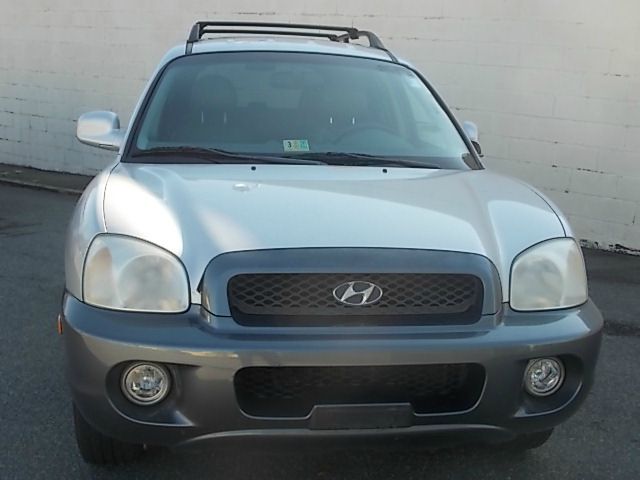 Hyundai Santa Fe 2003 photo 1