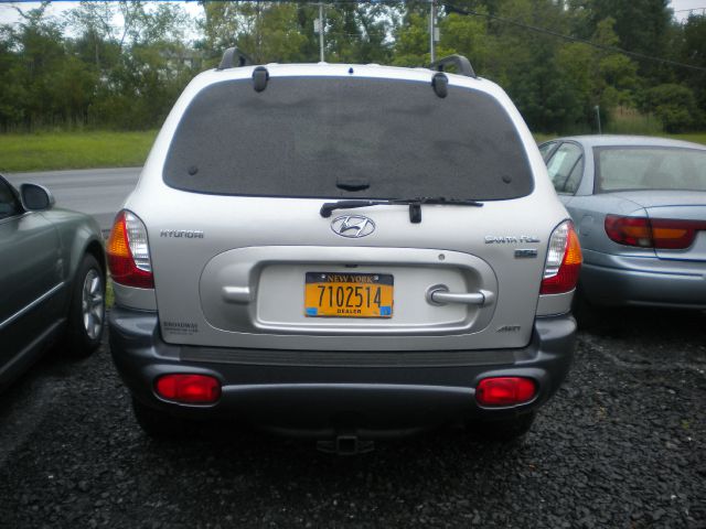 Hyundai Santa Fe 2003 photo 1