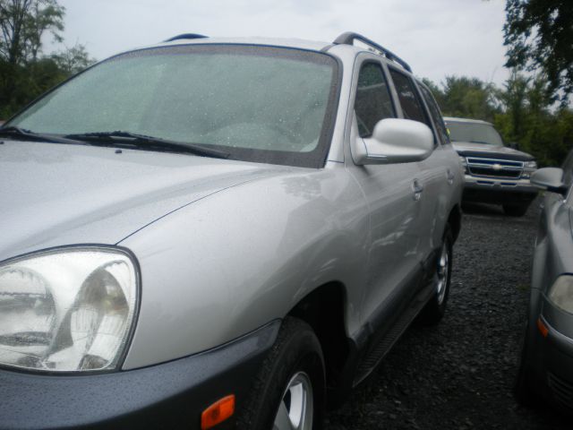 Hyundai Santa Fe 2003 photo 6