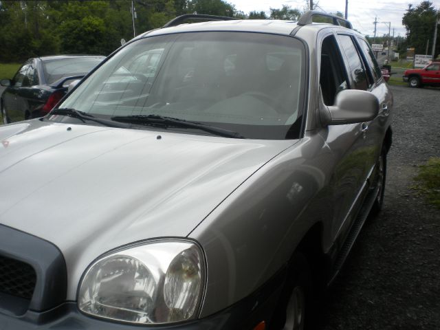 Hyundai Santa Fe 2003 photo 5