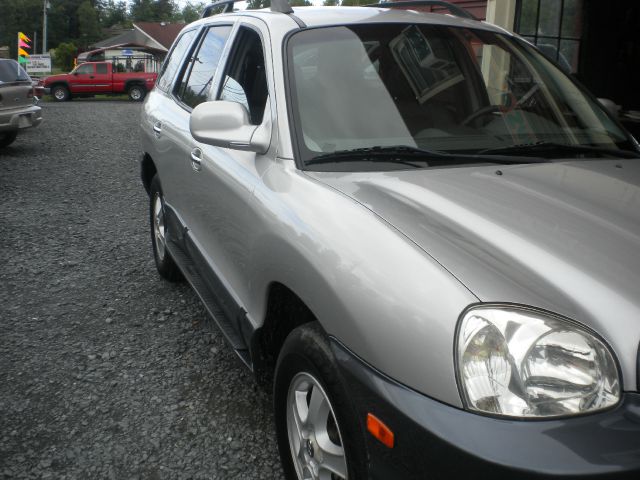 Hyundai Santa Fe 2003 photo 7