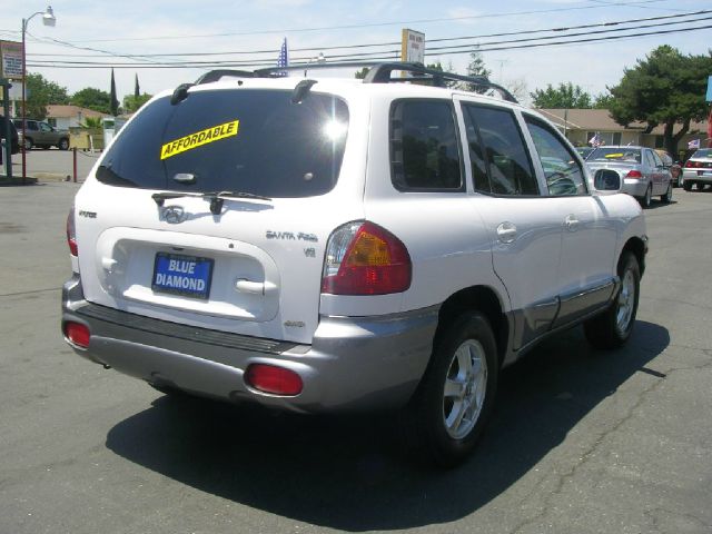 Hyundai Santa Fe 2003 photo 1