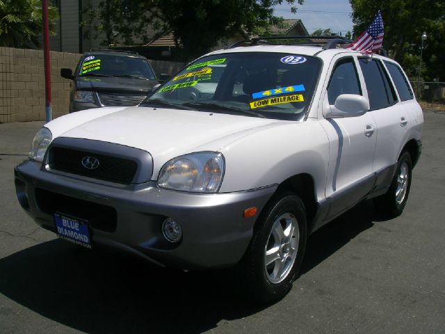 Hyundai Santa Fe 2003 photo 3