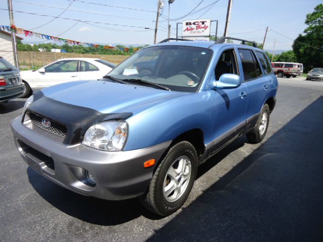 Hyundai Santa Fe 2003 photo 15