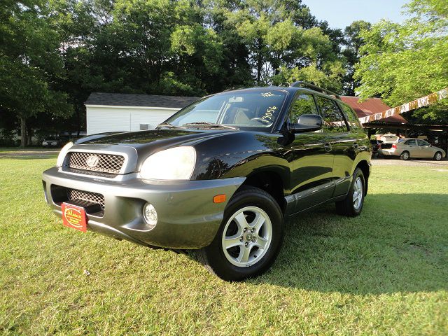 Hyundai Santa Fe 2003 photo 2