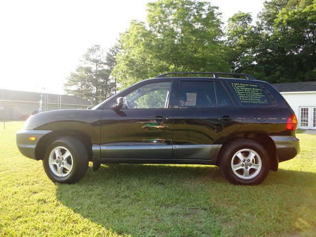 Hyundai Santa Fe 2003 photo 4