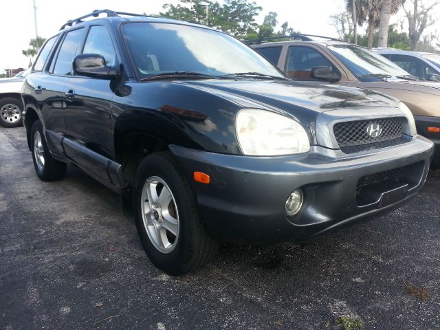 Hyundai Santa Fe 2003 photo 8