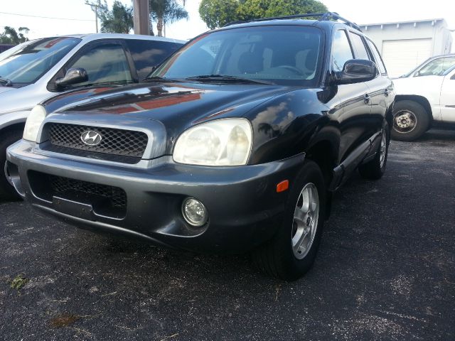 Hyundai Santa Fe 2003 photo 9