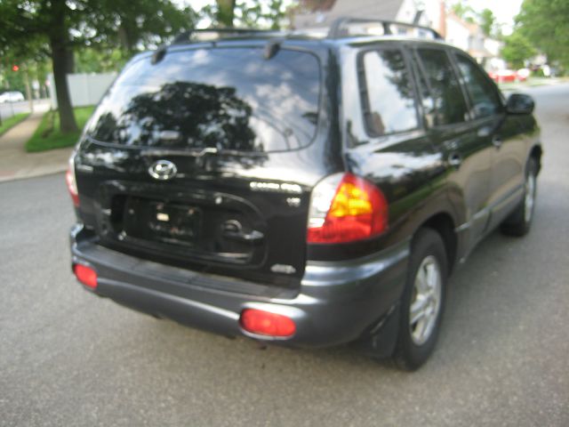 Hyundai Santa Fe 2003 photo 1