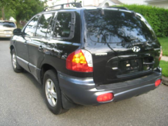 Hyundai Santa Fe 2003 photo 11