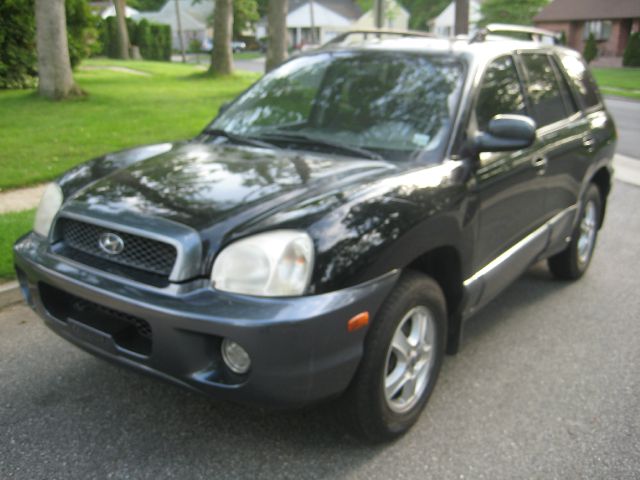 Hyundai Santa Fe 2003 photo 12