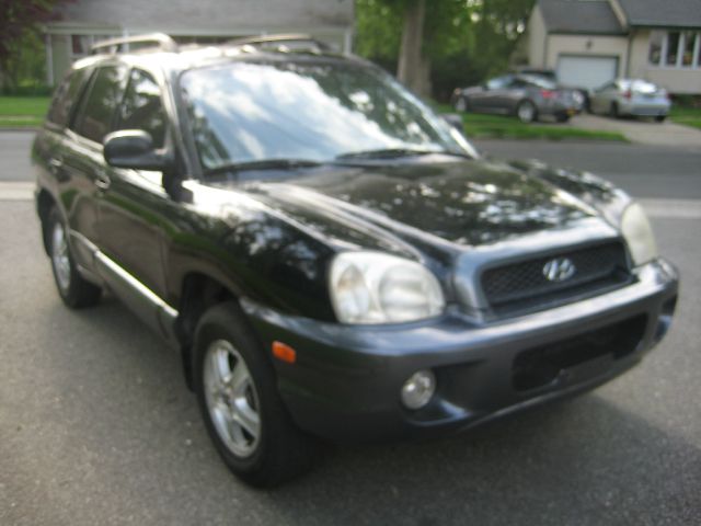 Hyundai Santa Fe 2003 photo 13