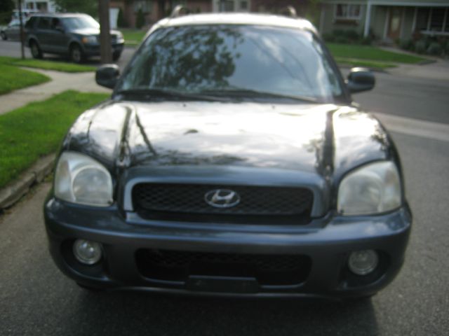 Hyundai Santa Fe 2003 photo 5