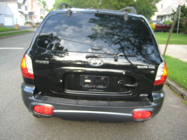 Hyundai Santa Fe 2003 photo 6