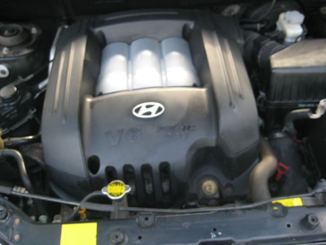 Hyundai Santa Fe 2003 photo 9