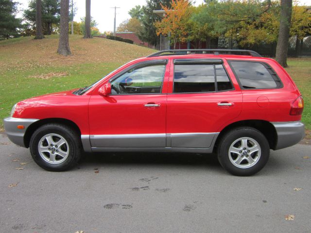 Hyundai Santa Fe 2003 photo 4