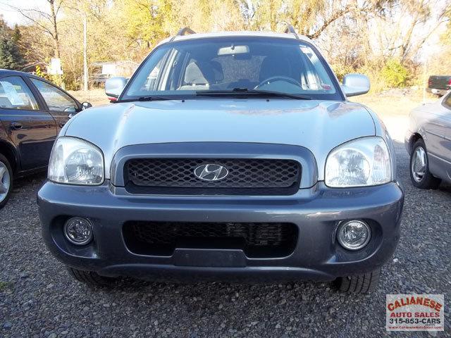 Hyundai Santa Fe 2003 photo 1