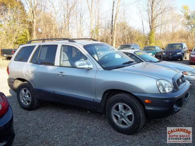 Hyundai Santa Fe 2003 photo 2