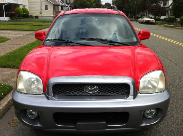 Hyundai Santa Fe 2003 photo 12