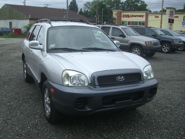 Hyundai Santa Fe 2003 photo 3