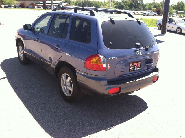 Hyundai Santa Fe 2003 photo 1