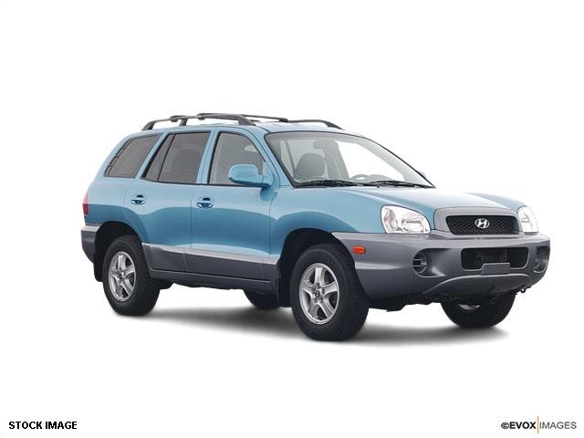 Hyundai Santa Fe 2003 photo 1