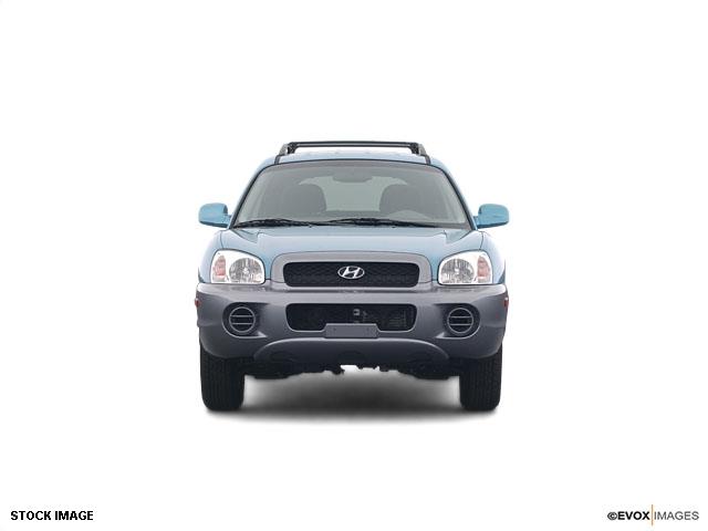 Hyundai Santa Fe 2003 photo 3