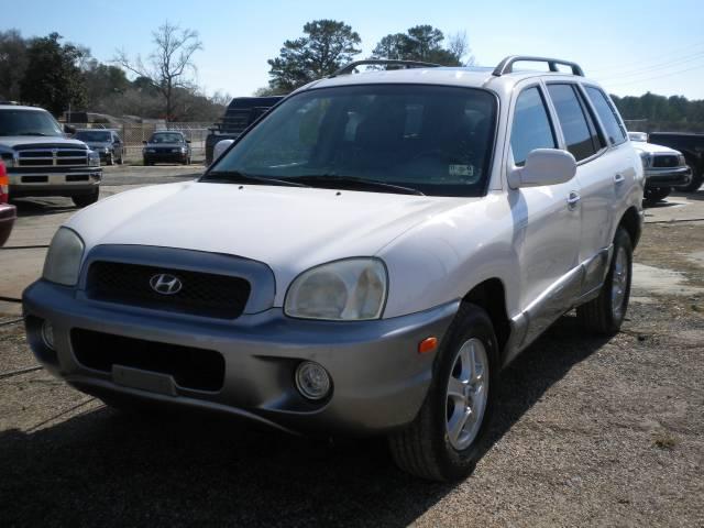 Hyundai Santa Fe 2003 photo 1