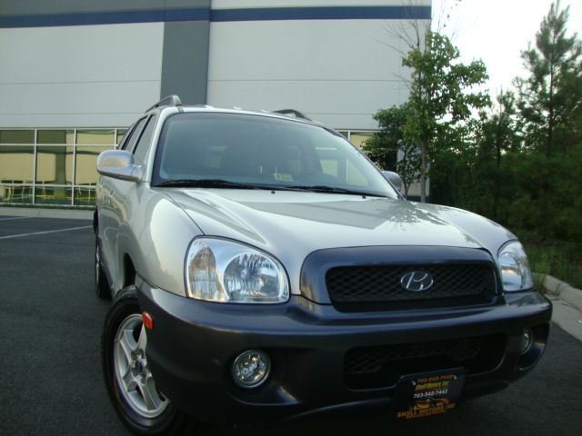 Hyundai Santa Fe 2003 photo 2