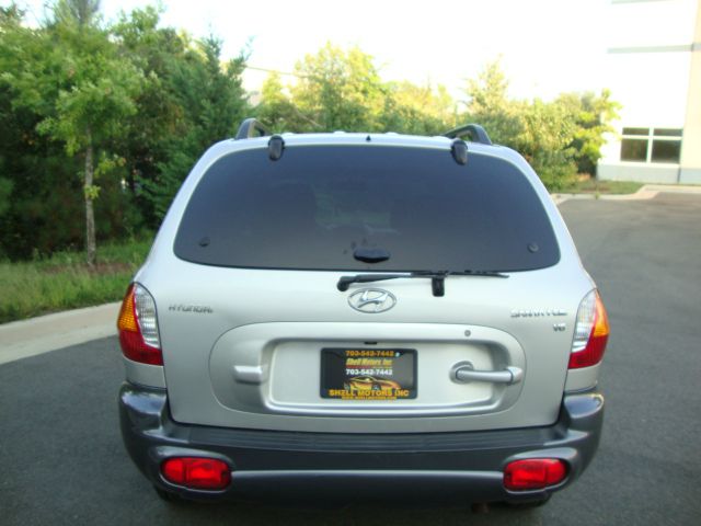 Hyundai Santa Fe 2003 photo 3