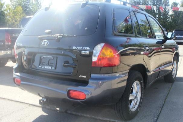 Hyundai Santa Fe 2003 photo 5