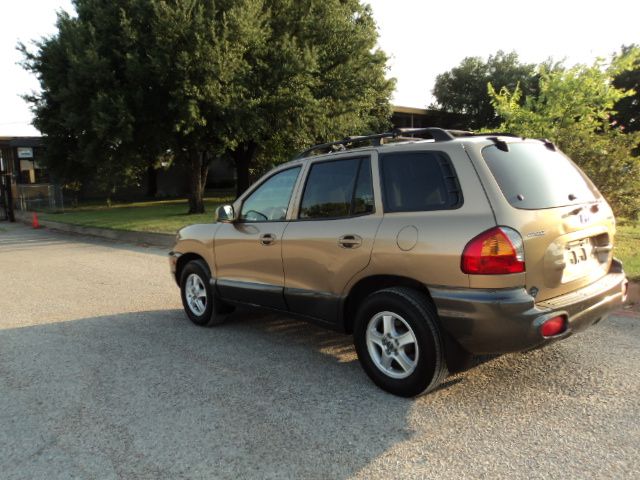 Hyundai Santa Fe 2003 photo 1