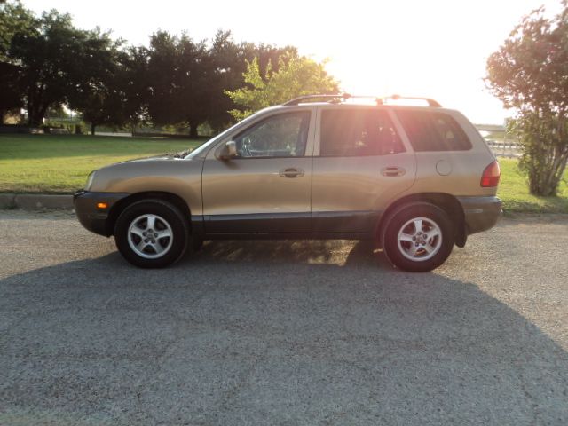 Hyundai Santa Fe 2003 photo 2