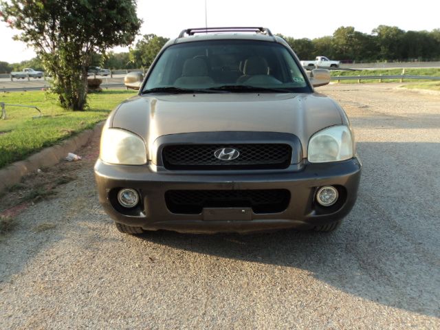 Hyundai Santa Fe 2003 photo 3