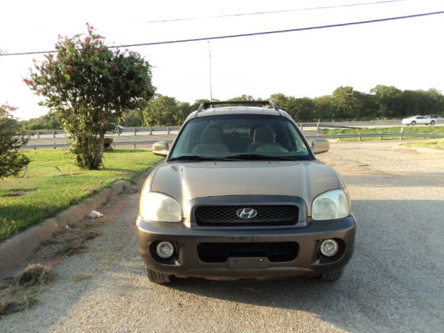 Hyundai Santa Fe 2003 photo 4