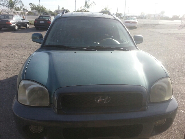 Hyundai Santa Fe 2003 photo 1