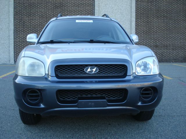 Hyundai Santa Fe 2003 photo 4