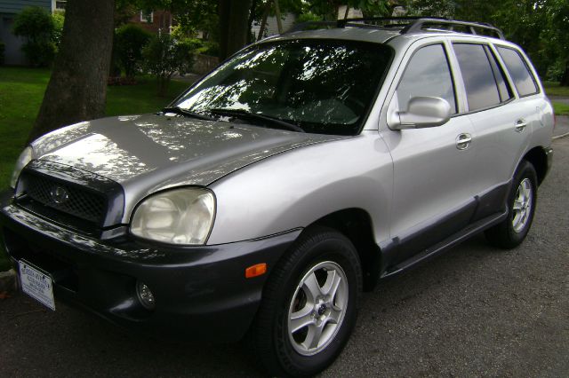 Hyundai Santa Fe 2003 photo 1