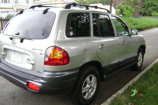 Hyundai Santa Fe 2003 photo 3