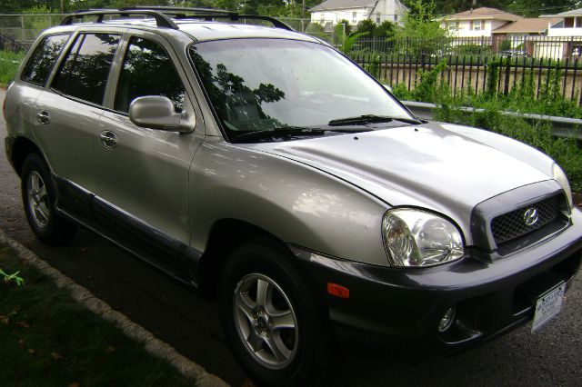 Hyundai Santa Fe 2003 photo 4