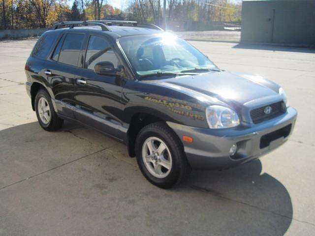 Hyundai Santa Fe 2003 photo 1