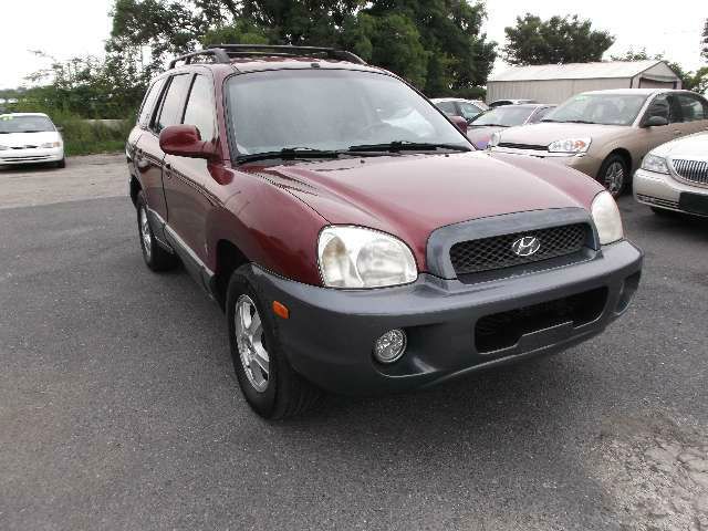 Hyundai Santa Fe 2003 photo 2