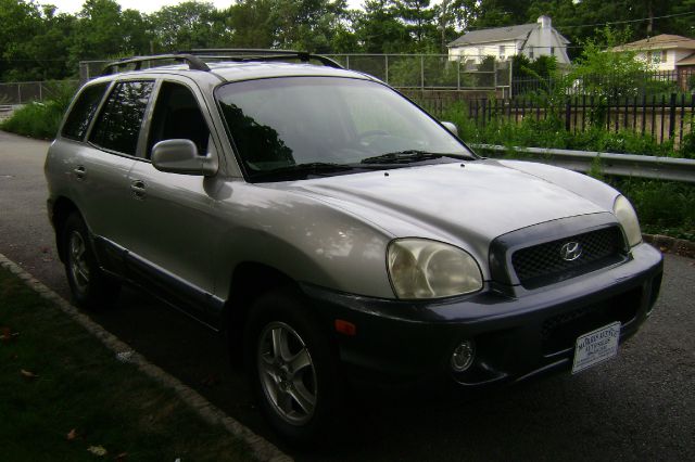 Hyundai Santa Fe 2003 photo 1