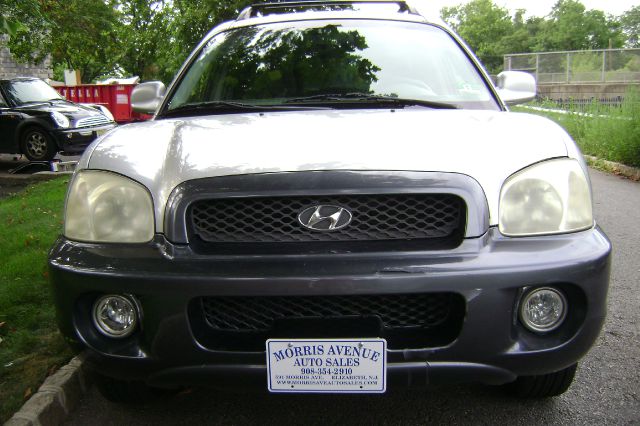 Hyundai Santa Fe 2003 photo 3