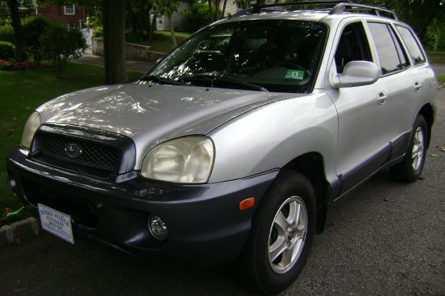 Hyundai Santa Fe 2003 photo 4