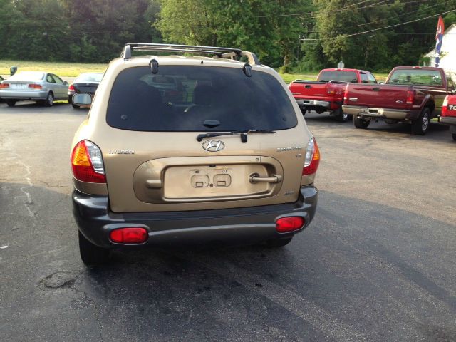 Hyundai Santa Fe 2003 photo 1