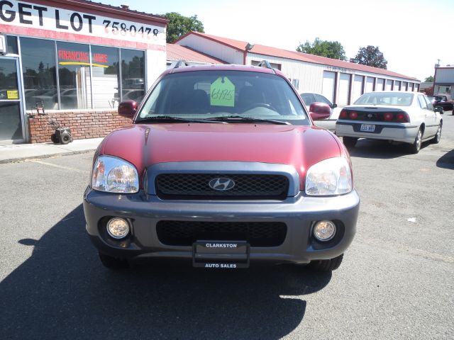 Hyundai Santa Fe 2003 photo 2