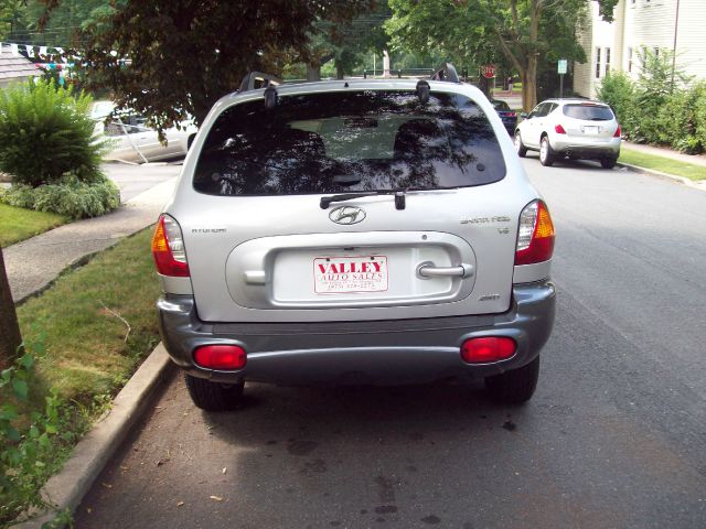 Hyundai Santa Fe 2003 photo 1